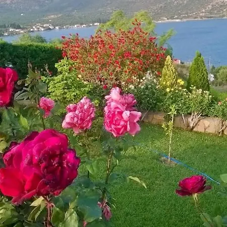 ヴィラ Cozy Apollon Villa, Sea View, Next To Galaxidi エラティニ