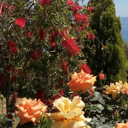 Vila Cozy Apollon Villa, Sea View, Next To Galaxidi