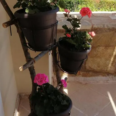 ヴィラ Cozy Apollon Villa, Sea View, Next To Galaxidi