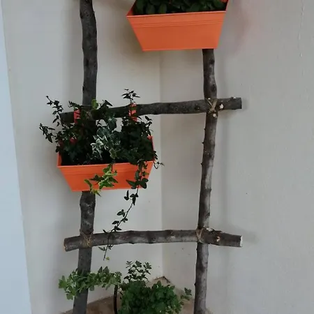 Vila Cozy Apollon Villa, Sea View, Next To Galaxidi *