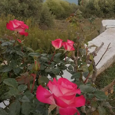 Cozy Apollon Villa, Sea View, Next To Galaxidi *