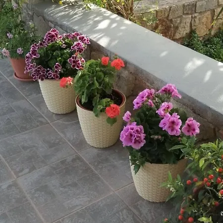 ヴィラ Cozy Apollon Villa, Sea View, Next To Galaxidi *