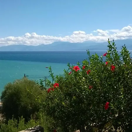 Cozy Apollon Villa, Sea View, Next To Galaxidi ヴィラ エラティニ