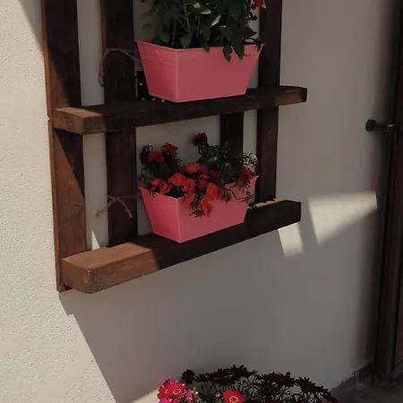 Cozy Apollon Villa, Sea View, Next To Galaxidi * エラティニ